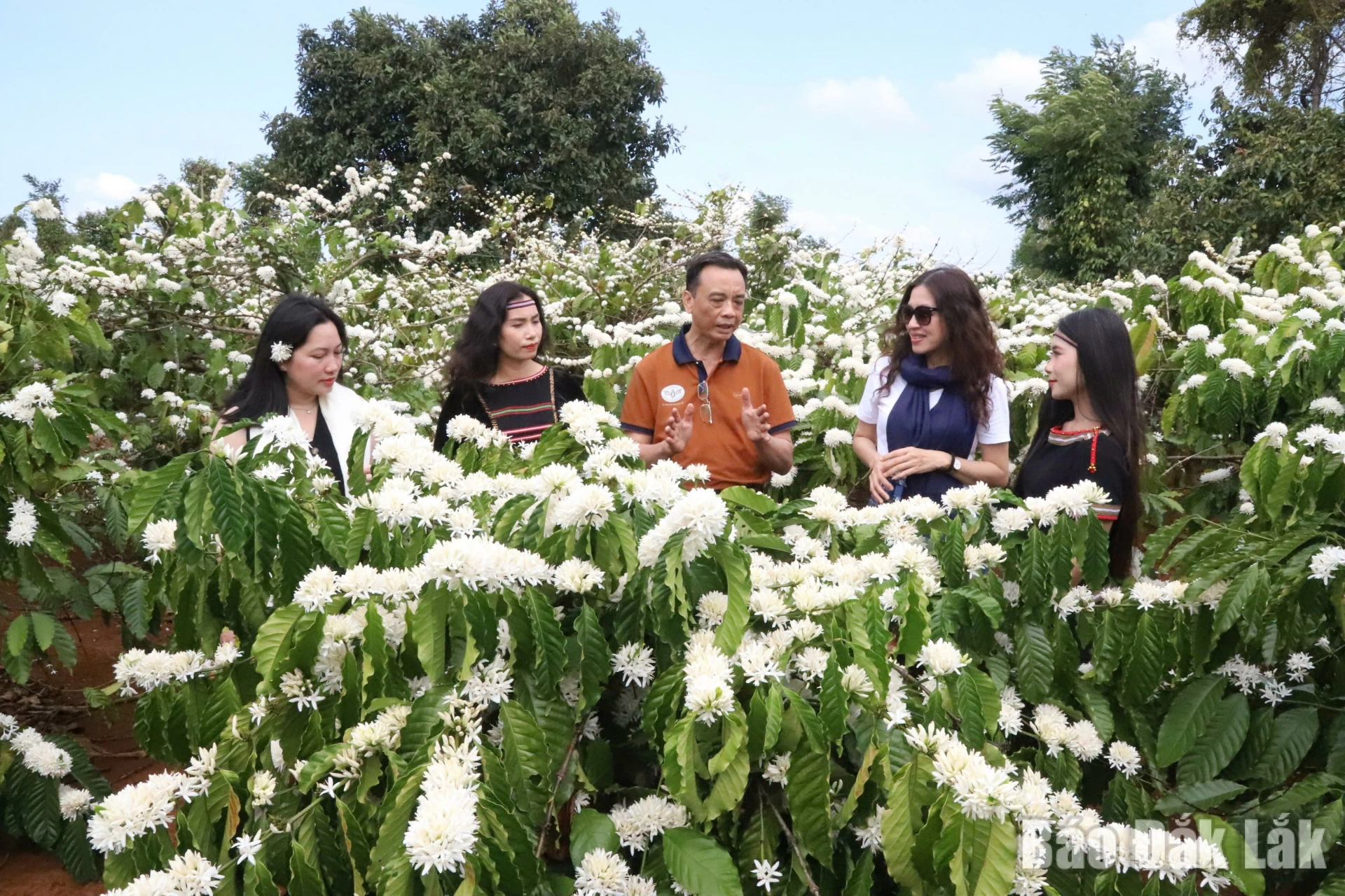 Không gian trồng và chăm sóc cà phê đang trở thành điểm đến du lịch hấp dẫn của Đắk Lắk.